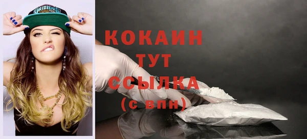 стаф Надым