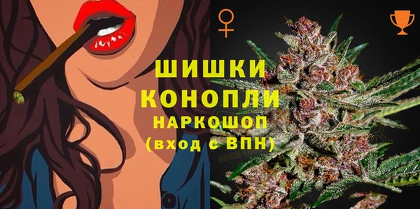 стаф Надым