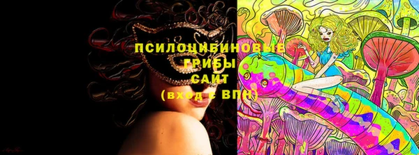 стаф Надым
