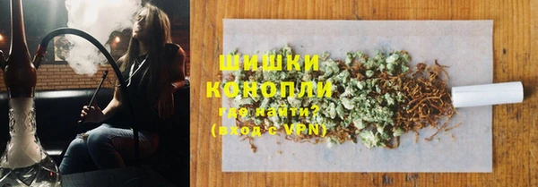 стаф Надым