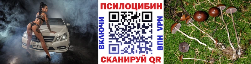 Псилоцибиновые грибы Psilocybe  OMG онион  Инта 
